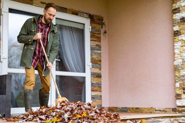 Best Furniture Removal Near Me  in Shady Side, MD