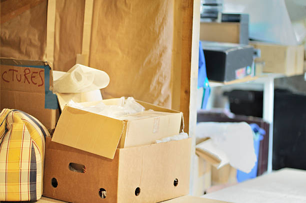 Professional Junk Removal in Shady Side, MD